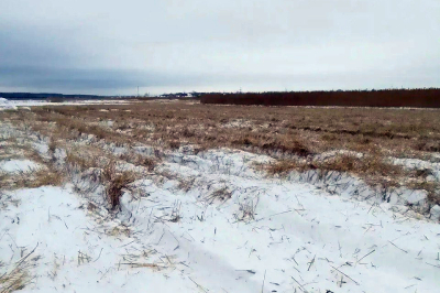 На территории города ведётся окос камыша в рамках противопожарных мероприятий