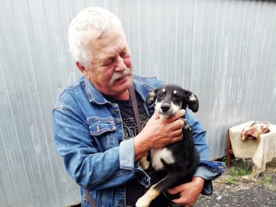 Дворняжка Юта из муниципального приюта для животных переехала к добрым людям