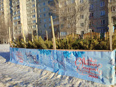 Где в Кургане на Новый год можно будет купить елку