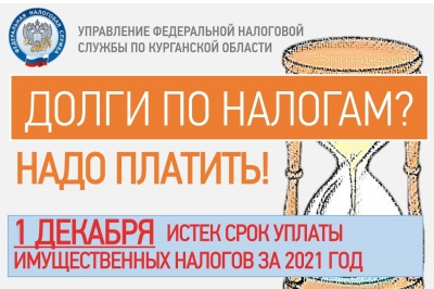 Налоговую задолженность необходимо оплатить!