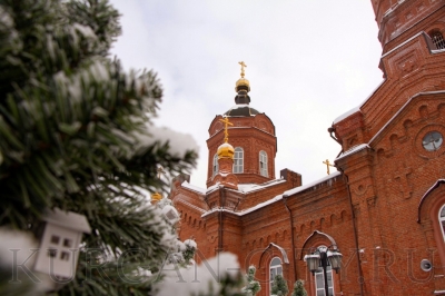 Глава Кургана Елена Ситникова поздравила курганцев с Рождеством