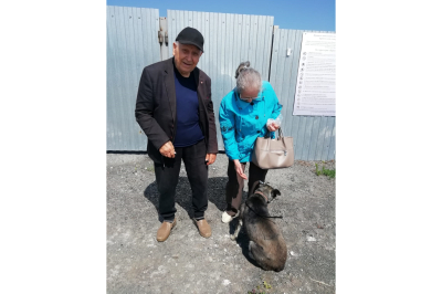 Кошки и собаки не должны быть бездомными. И отвечать за это должны люди