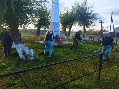 «Наводим красоту». Курганские ТОС проводят субботники