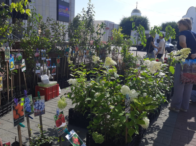 В Кургане встретили яблочный спас