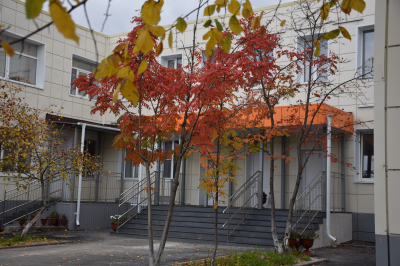 Глава города Антон Науменко провел рабочий объезд по городу