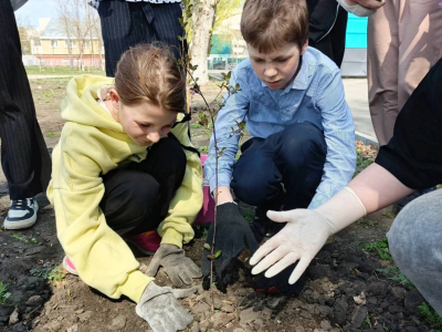 «Сад Памяти». Школьники Кургана присоединились к патриотической акции