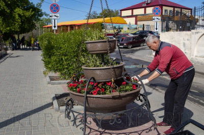 Лето близко! Курганские улицы, парки и скверы украшают цветы в вазонах
