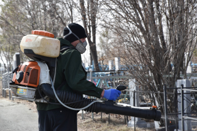 На городских кладбищах пройдет акарицидная и дератизационная обработки