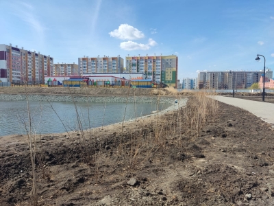 В новом парке 4-го микрорайона жилого массива Заозерный высажены первые растения