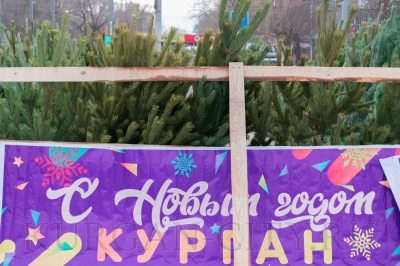 Курганских предпринимателей приглашают принять участие в продаже товаров новогоднего ассортимента и организации елочных базаров