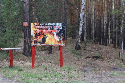 Запрет на посещение лесов продлен по 3 июля