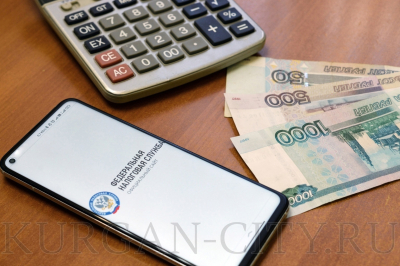 Налоговые уведомления можно получить на портале Госуслуг