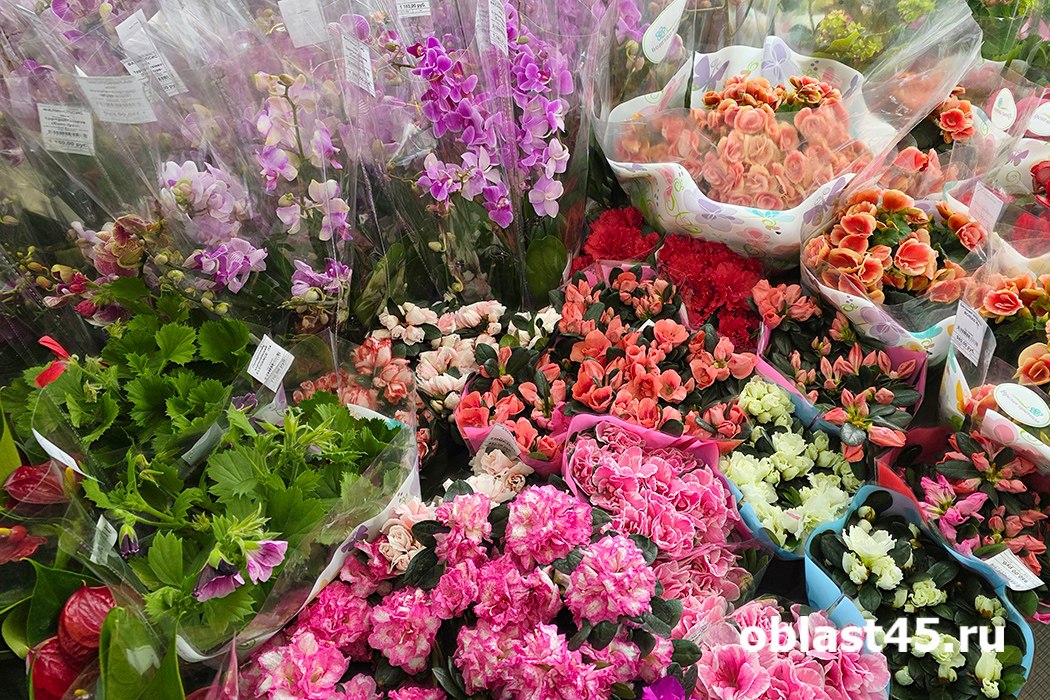 Курганская область может запустить производство цветов для внутреннего рынка