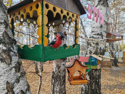 Конкурсная комиссия городского конкурса чистоты и благоустройства среди ТОС завершила объезды территорий участников