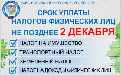 Уплатить земельный, транспортный и имущественный налоги курганцам необходимо до 2 декабря