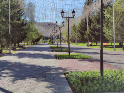 Общественные пространства Кургана украшают цветами