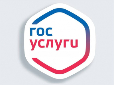 Курганцы могут получить муниципальные услуги в электронном виде через портал Госуслуг