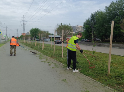 Дорожные службы устраняют последствия прошедшего в Кургане ливня со шквалистым ветром