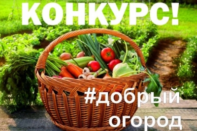 «Добрый огород». Курганцев приглашают принять участие во Всероссийском конкурсе социальных агроволонтерских проектов