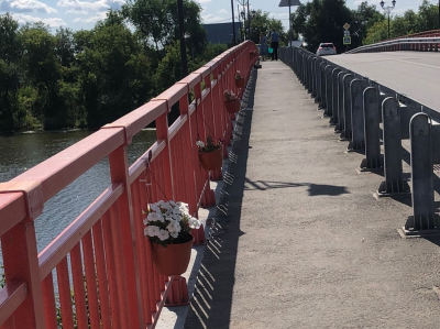 Цветочный вандализм. Кто портит красоту набережной Кургана?