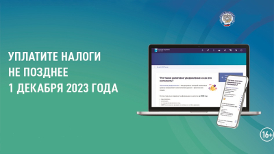 Заплатите имущественные налоги до 1 декабря!