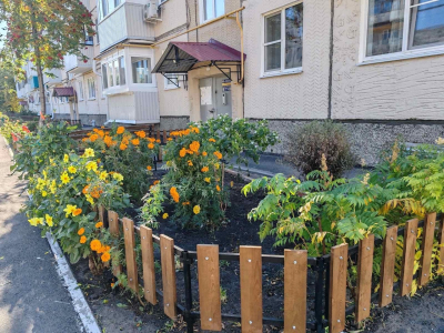 ТОСы соревнуются в чистоте. В Кургане продолжается конкурс