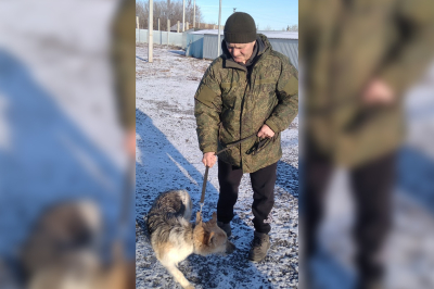 Ириска нашла новый дом, а Цыганка ждет хозяев