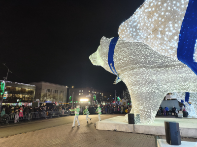 В Кургане зажглись и засияли белые медведи СУЭНКО