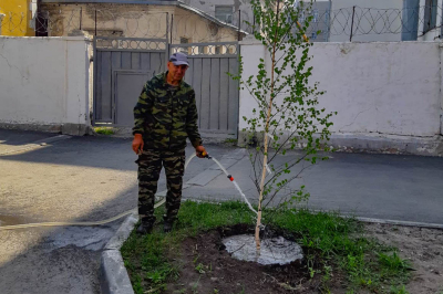 Во время жары в Кургане усилен полив зеленых насаждений