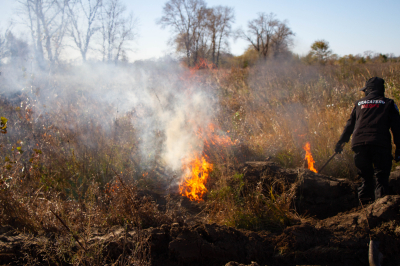 Отжиги сухой растительности – профилактическая мера