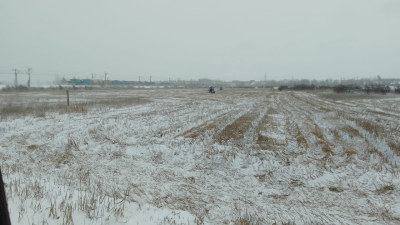 Окос камыша – одна из мер по профилактике пожарной безопасности