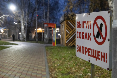 «Мы в ответе за тех, кого приручили». Владельцы собак должны соблюдать обязанности по их содержанию