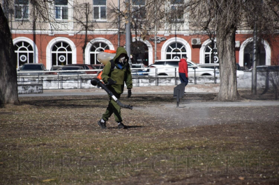 В Кургане начнётся осенняя акарицидная обработка общественных территорий