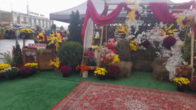 Александровская ярмарка приглашает за покупками!