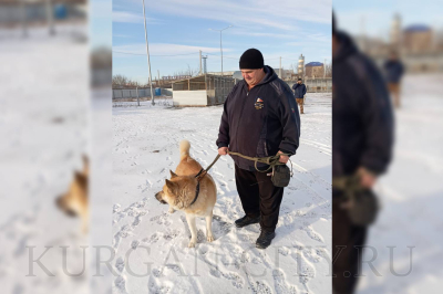 Пес Мартин из муниципального приюта нашел новый дом и будет его охранять