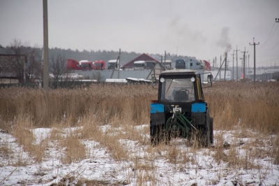 В городе в рамках работы по профилактике пожаров выкашивают сухой камыш