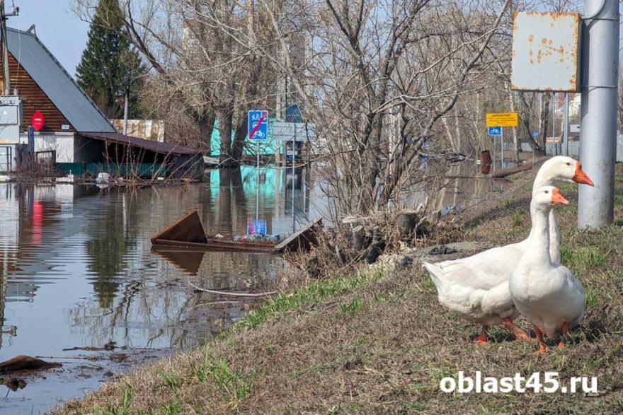 Штрафы до 200 000 рублей: в Зауралье усилили надзор за зонами затопления